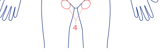 Partie 5